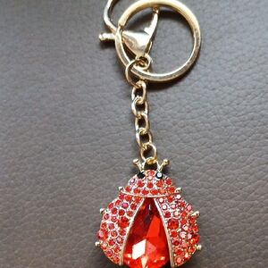 Mint Red Ladybug Key Holder